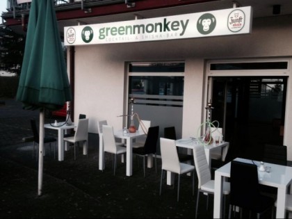 Photo: Green Monkey